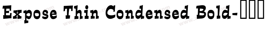 Expose Thin Condensed Bold字体转换